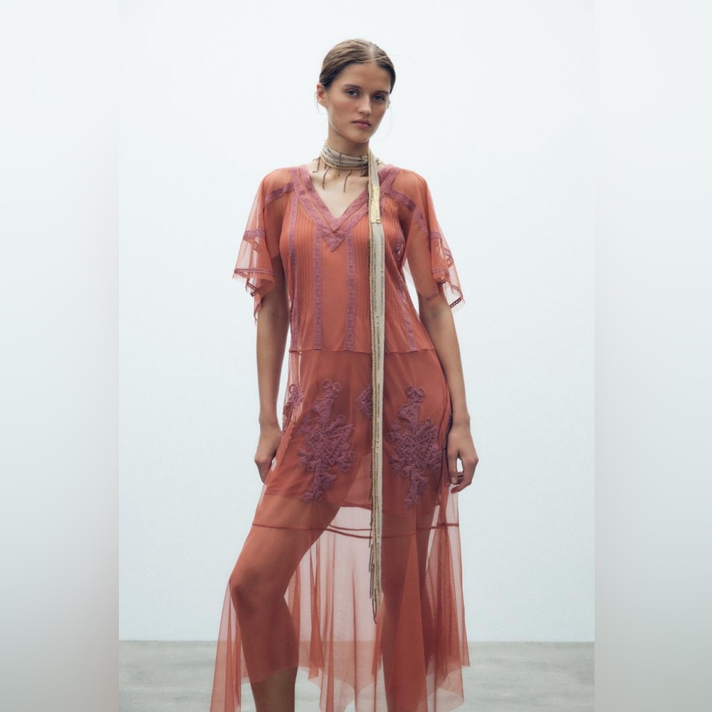 Zara Terracotta Lace-Embellished Sheer Maxi Dress